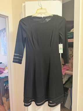Sandra Darren Black A-Line Dress with Sheer Band Accents